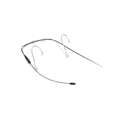 Head worn Mic